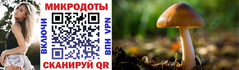 Галлюциногенные грибы ЛСД Муром