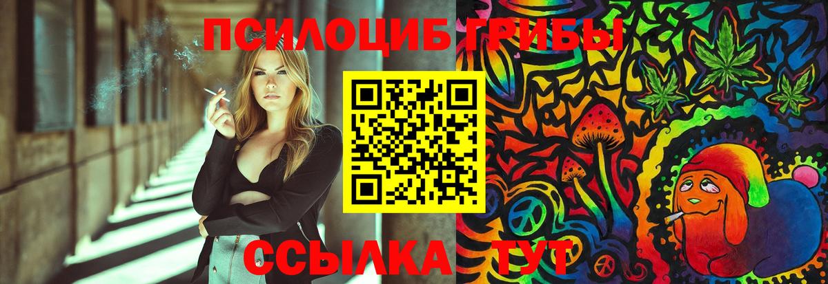 Псилоцибиновые грибы Cubensis  Вход с VPN  хочу наркоту  Муром  Псилоцибиновые грибы Magic Shrooms 